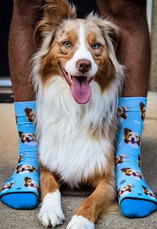 Kids Dog Socks
